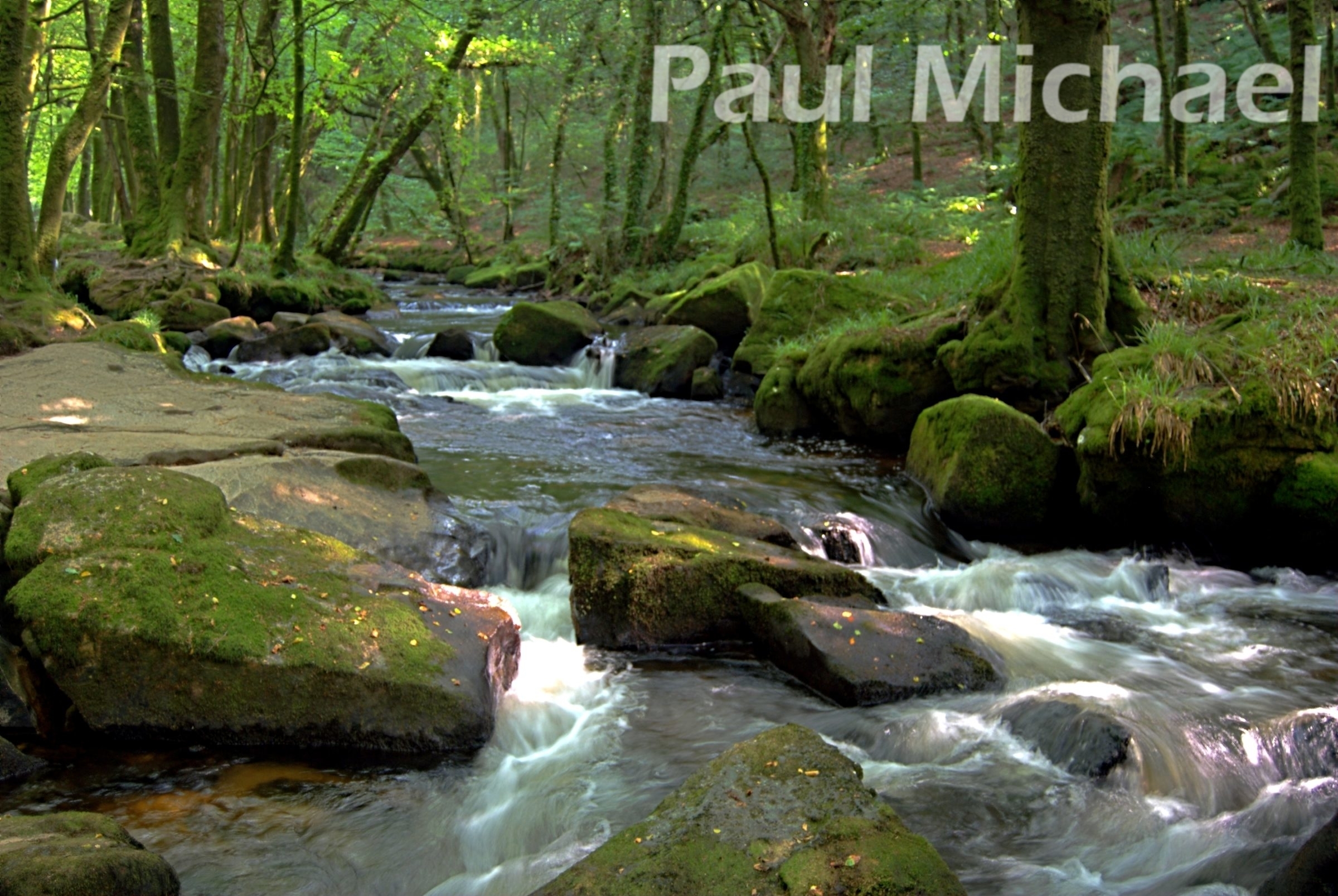 Golitha Falls, St Neot in Cornwall