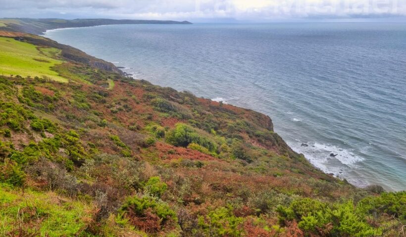 Whitsand Bay East