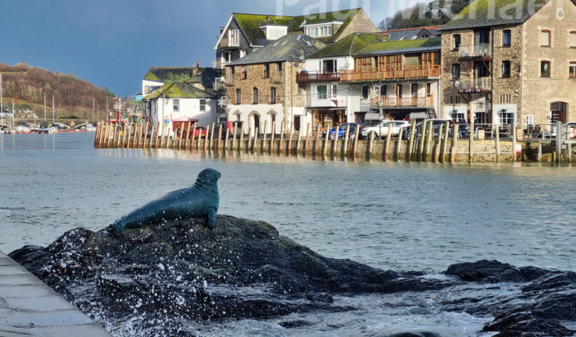 Seal Statue on Looe River