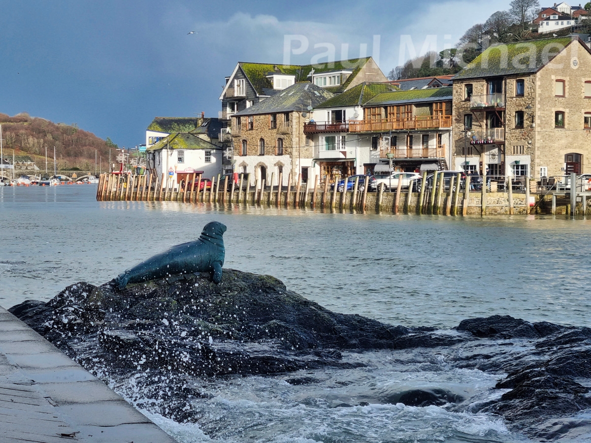 Looe River View