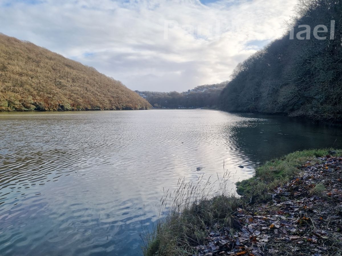 West Looe River