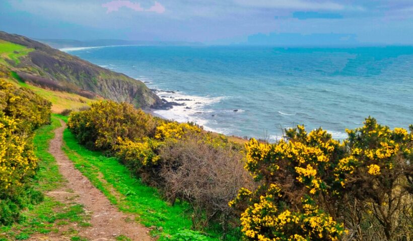 Whitsand Bay East