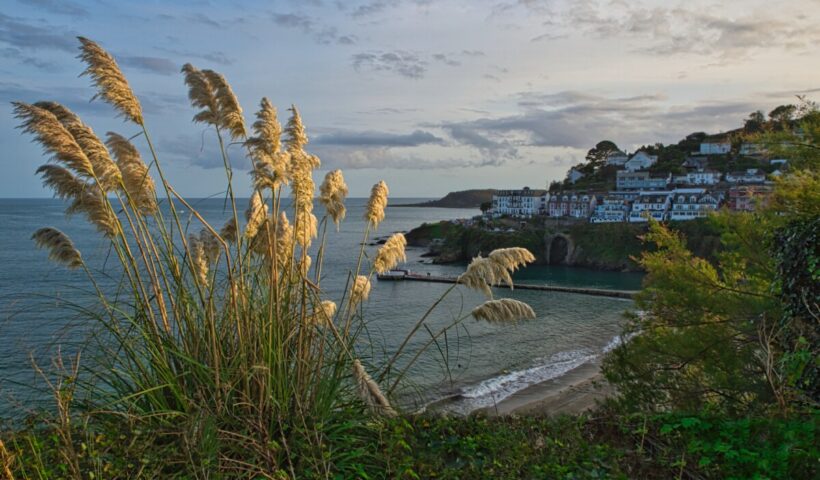 Overlooking Looe Beach