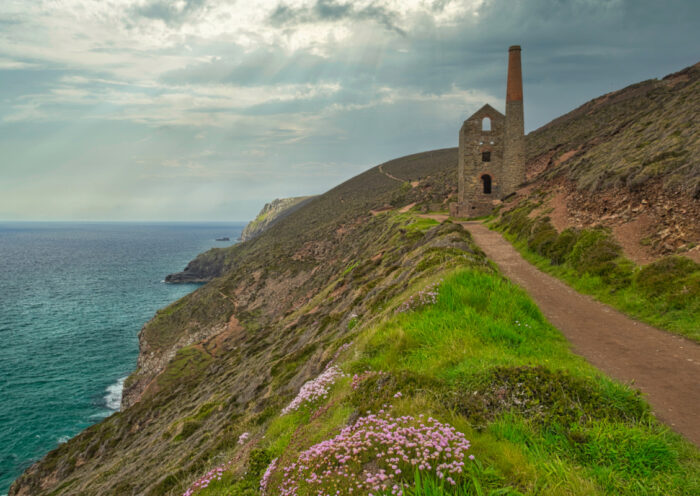 Wheal Coates and Wild Flowers