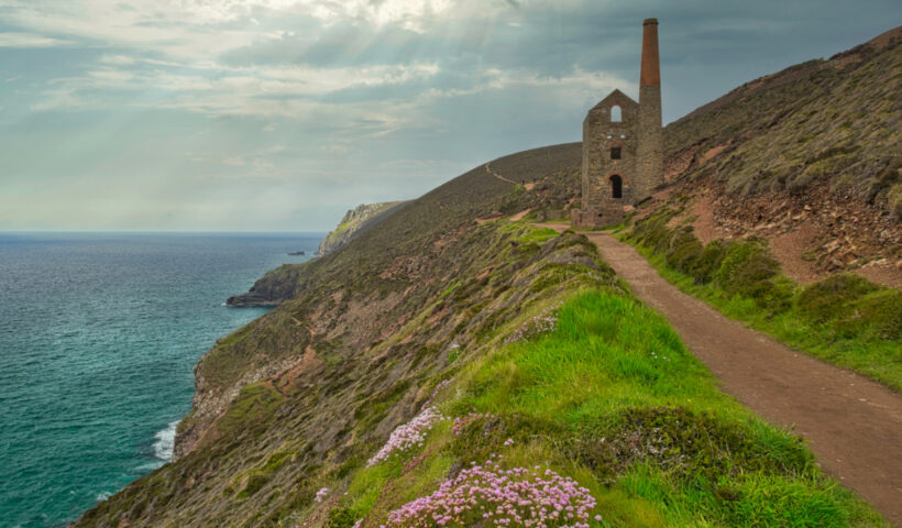 Wheal Coates and Wild Flowers