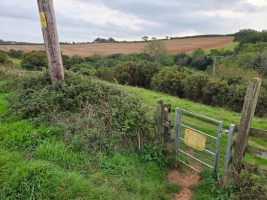 Gate by Electricity Pole