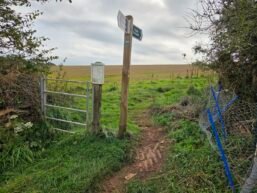 Signpost to Path