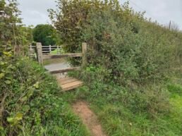 Stile Over Road