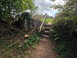 Cross the Road to Stile