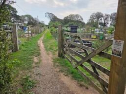 Through the Allotment