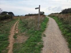 Take the Left Path