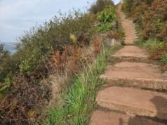Get Those Steps In