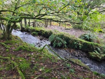Devonport Leat