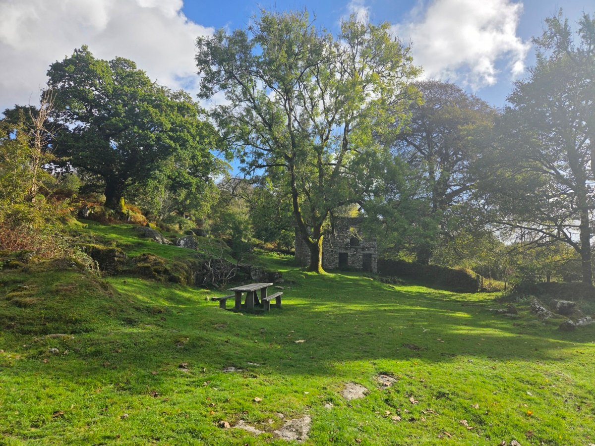 Middleworth Farm