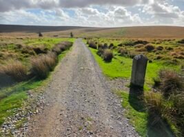Abbot's Way - South
