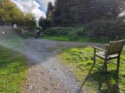 A Welcoming Chair