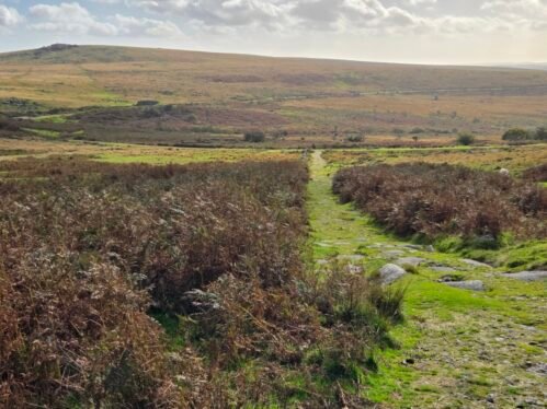 Leeden Tor and Dartmoor Way
