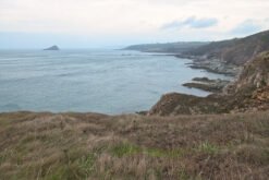 Wembury Bay