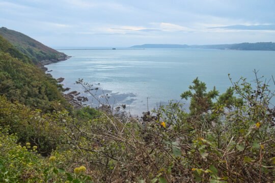Jennycliff Views