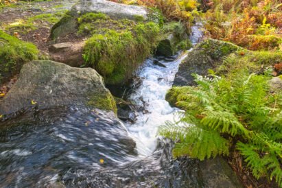 Devonport Leat Waterfall