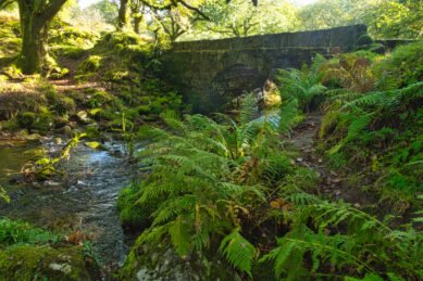 Norsworthy Bridge