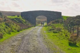 Disused Rail Bridge
