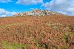 Leeden Tor